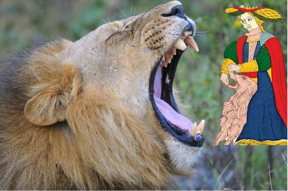 avoir le courage d'affronter le lion en soi avec la carte de la force du tarot