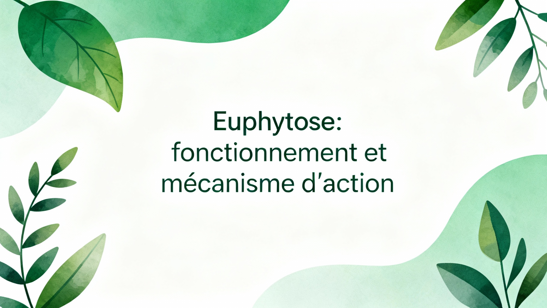 Euphytose : fonctionnement et mécanisme d'action